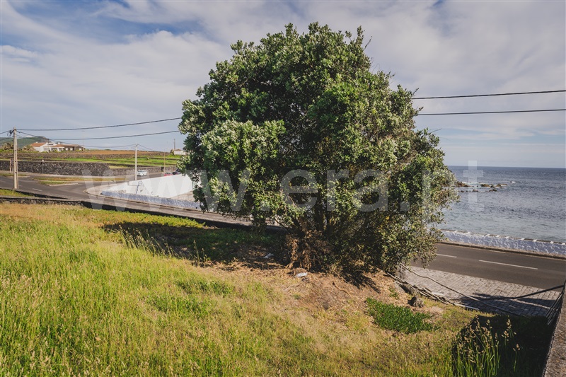 Lote  com Urbano Angra do Heroísmo, São Mateus da Calheta - 1482369 - 6
