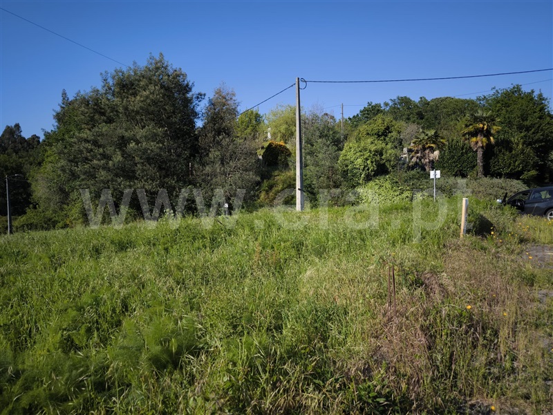 Lote  Arcos de Valdevez, Paçô - 1478002 - 2