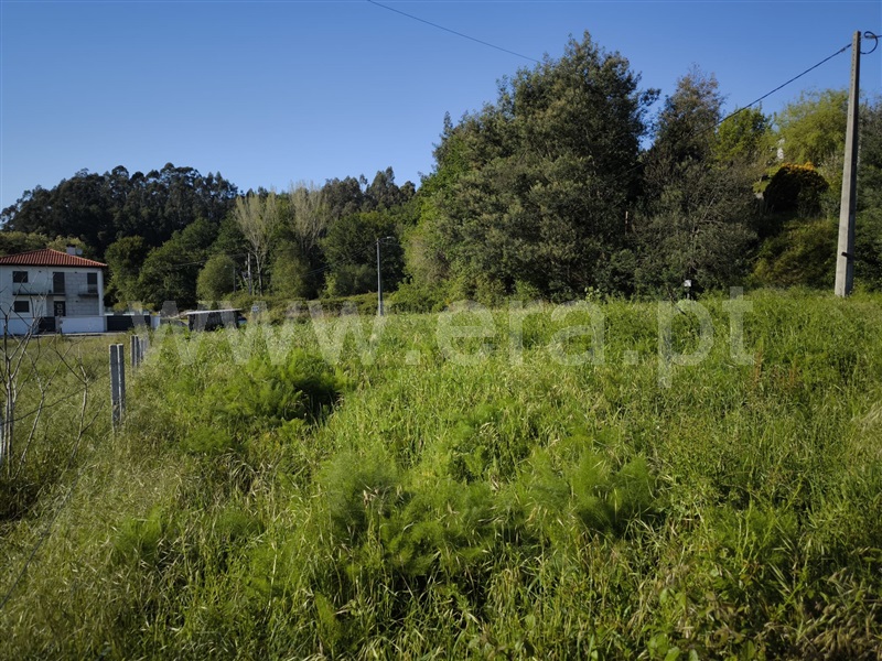 Lote  Arcos de Valdevez, Paçô - 1478002 - 4