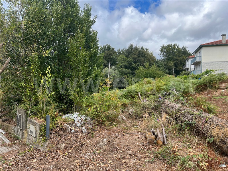 Lote  Arcos de Valdevez, Souto e Tabaçô - 1430394 - 3