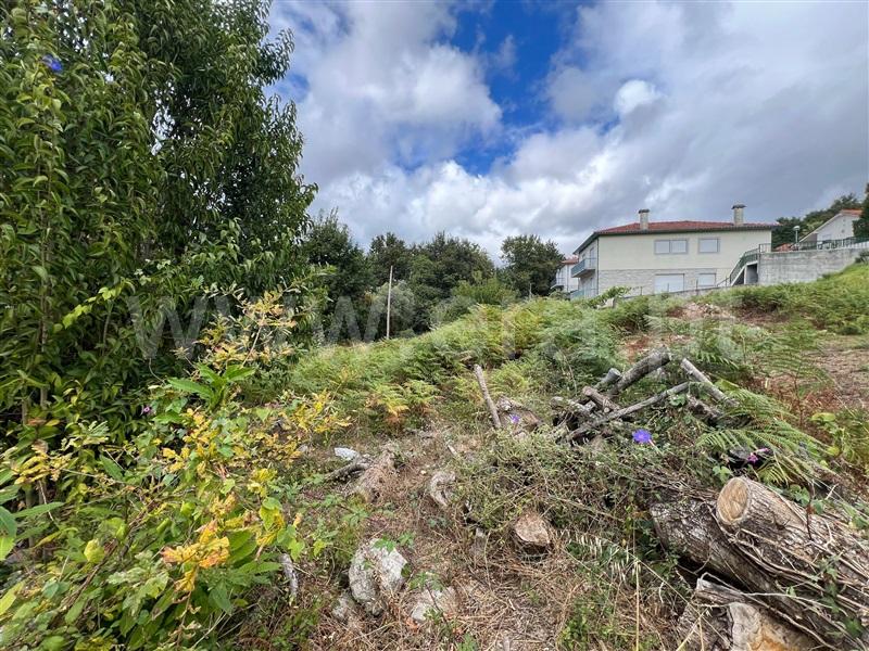 Lote  Arcos de Valdevez, Souto e Tabaçô - 1430394 - 4