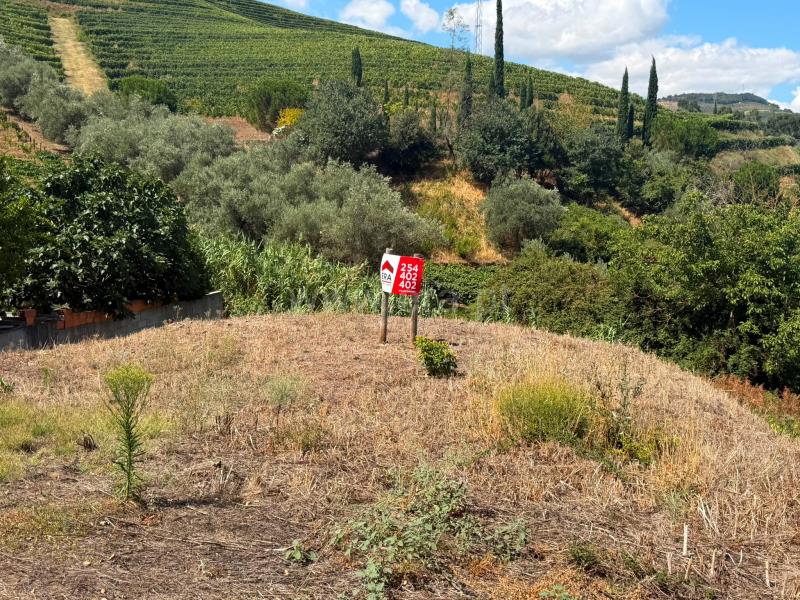 Lote / Armamar, Folgosa