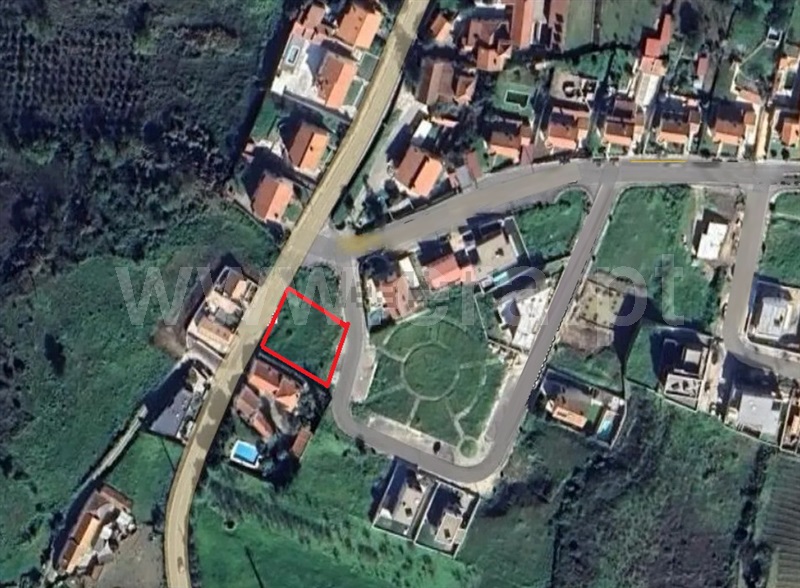 Lote  com Urbano Arruda dos Vinhos - 1466367 - 1