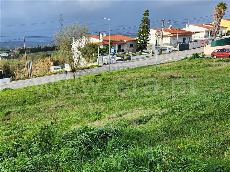 Lote / Arruda dos Vinhos, Arruda dos Vinhos