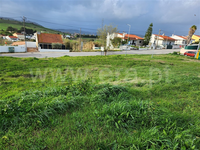 Lote  com Urbano Arruda dos Vinhos - 1466367 - 3
