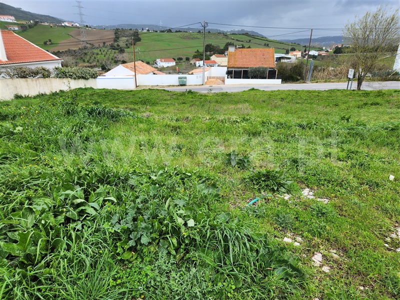 Lote  com Urbano Arruda dos Vinhos - 1466367 - 4