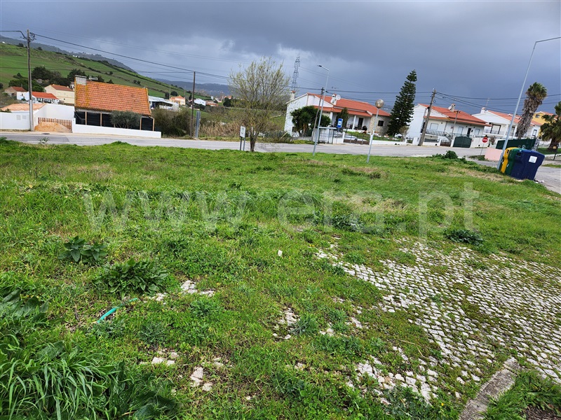 Lote  com Urbano Arruda dos Vinhos - 1466367 - 5