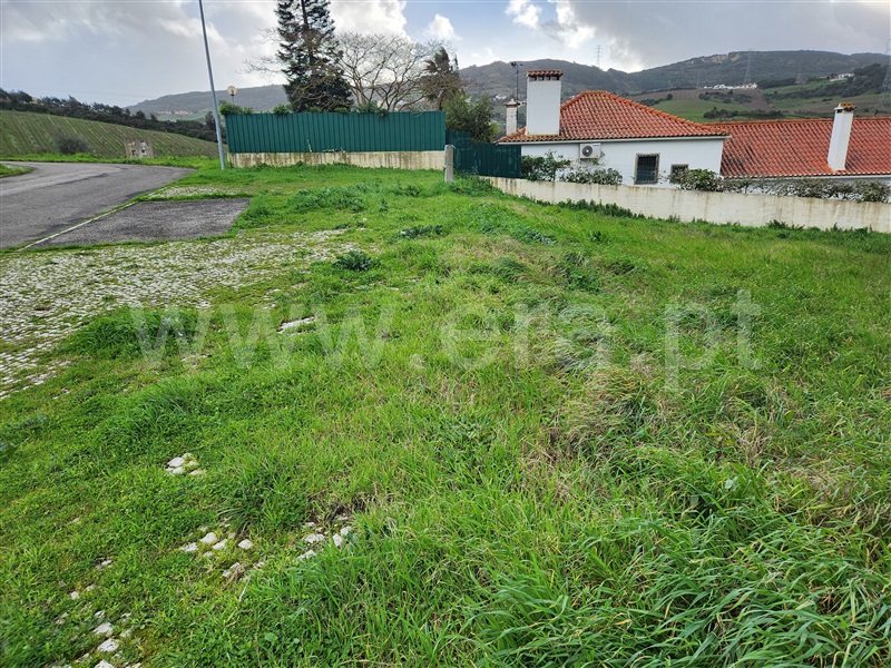 Lote  com Urbano Arruda dos Vinhos - 1466367 - 6