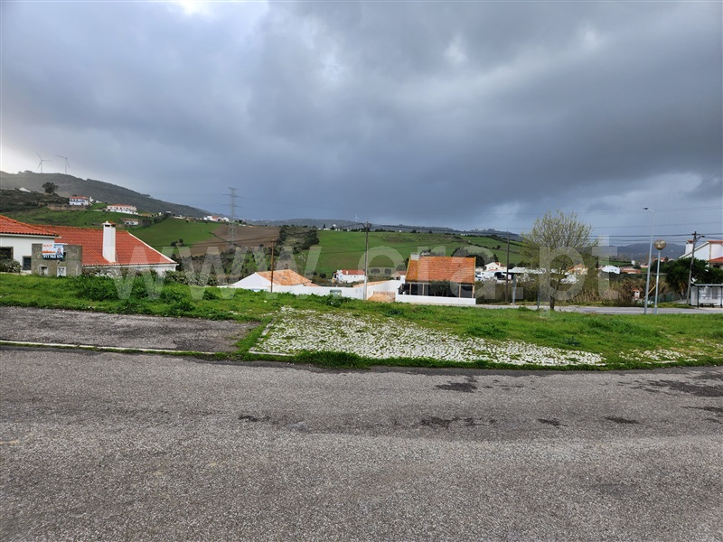 Lote  com Urbano Arruda dos Vinhos - 1466367 - 7