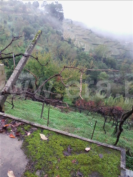 Lote / Baião, Baião (Santa Leocádia) e Mesquinhata