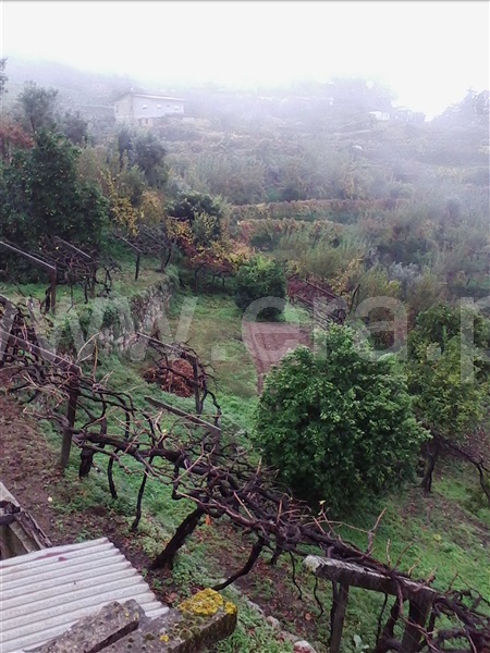 Lote  Baião, Baião (Santa Leocádia) e Mesquinhata - 692764 - 4