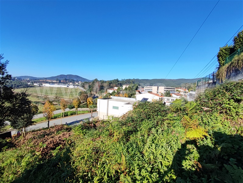 Lote  Barcelos, Abade de Neiva - 1290624 - 2