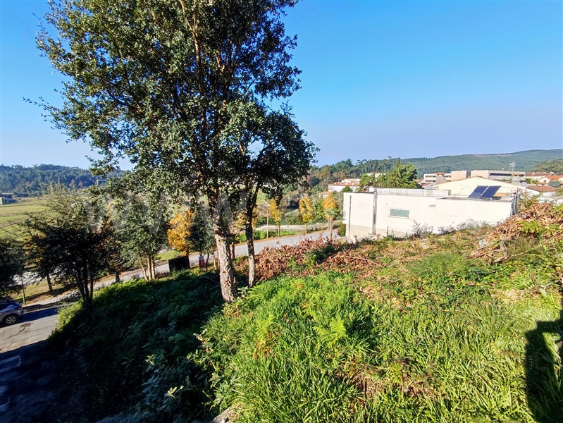 Lote  Barcelos, Abade de Neiva - 1290624 - 3