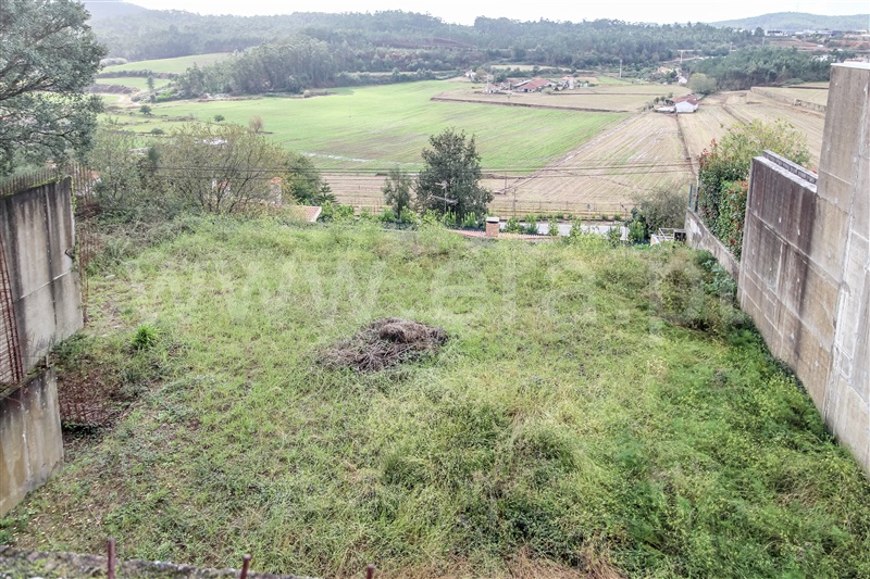 Lote / Barcelos, Abade de Neiva