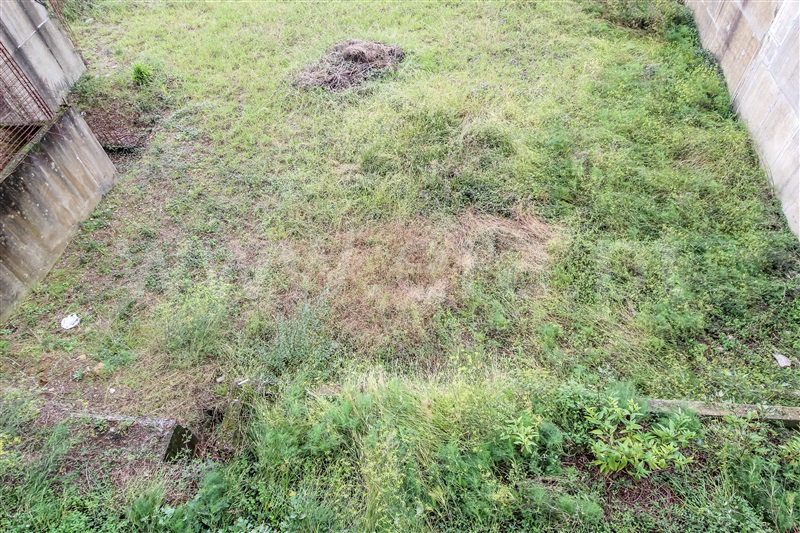 Lote  Barcelos, Abade de Neiva - 1358483 - 5