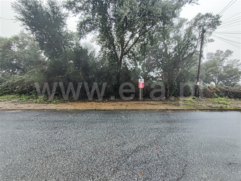 Lote / Barcelos, Abade de Neiva