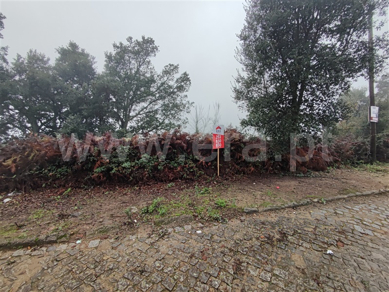 Lote / Barcelos, Abade de Neiva