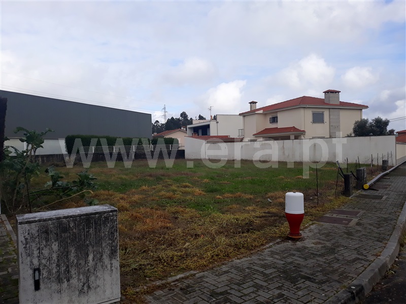 Lote / Barcelos, Adães