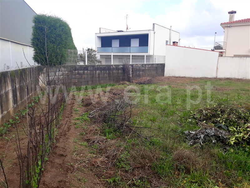 Lote  Barcelos, Adães - 1082975 - 2