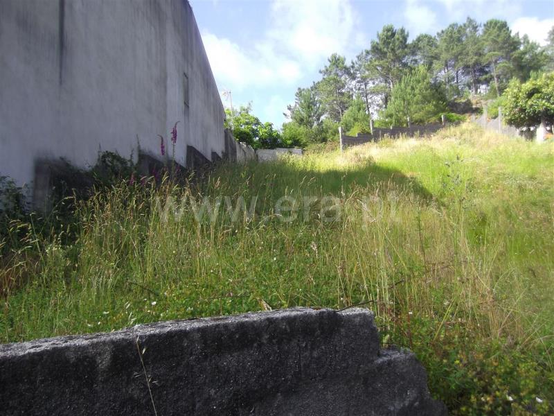 Lote / Barcelos, Aldreu