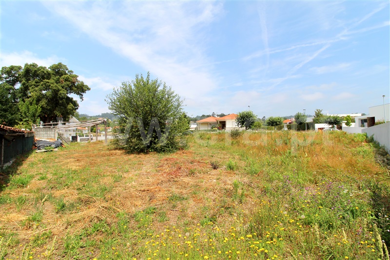 Lote  Barcelos, Alvito (São Pedro e São Martinho) e Couto - 1024638 - 4