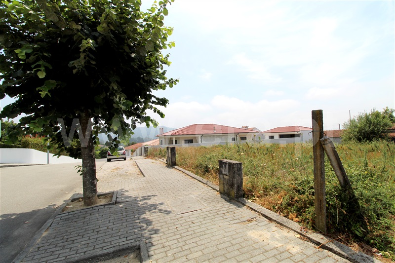 Lote  Barcelos, Alvito (São Pedro e São Martinho) e Couto - 1024638 - 5