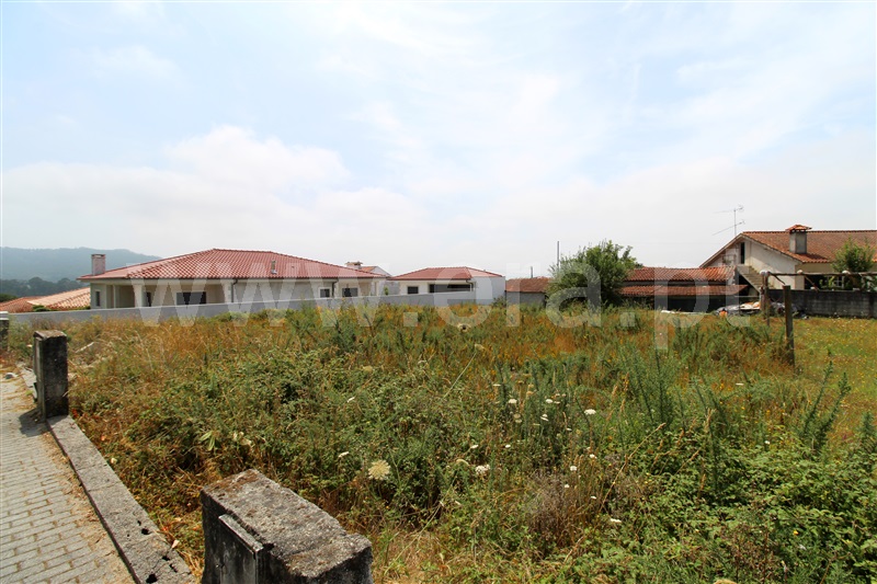Lote / Barcelos, Alvito (São Pedro e São Martinho) e Couto