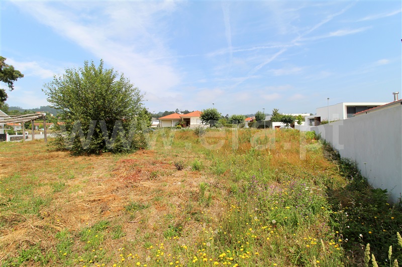 Lote  Barcelos, Alvito (São Pedro e São Martinho) e Couto - 1024638 - 3