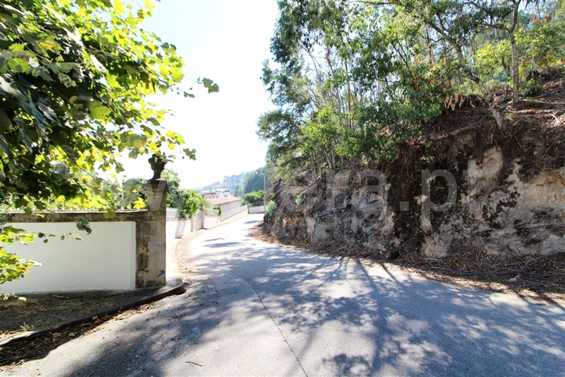 Lote  Barcelos, Carapeços - 943581 - 4