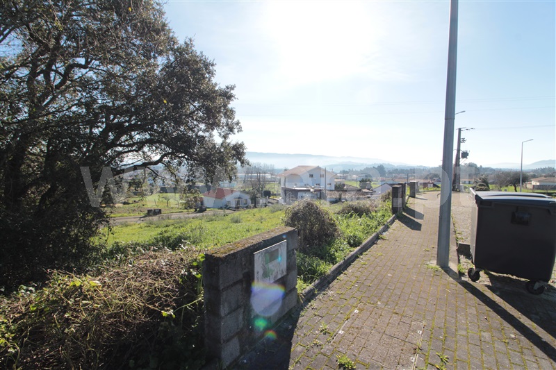 Lote / Barcelos, Galegos (São Martinho)