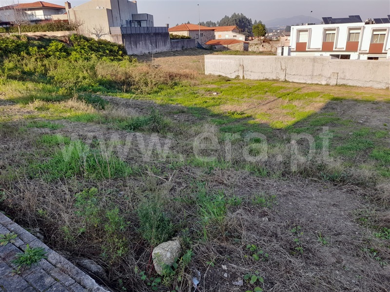 Lote  Barcelos, Gamil e Midões - 1082729 - 2