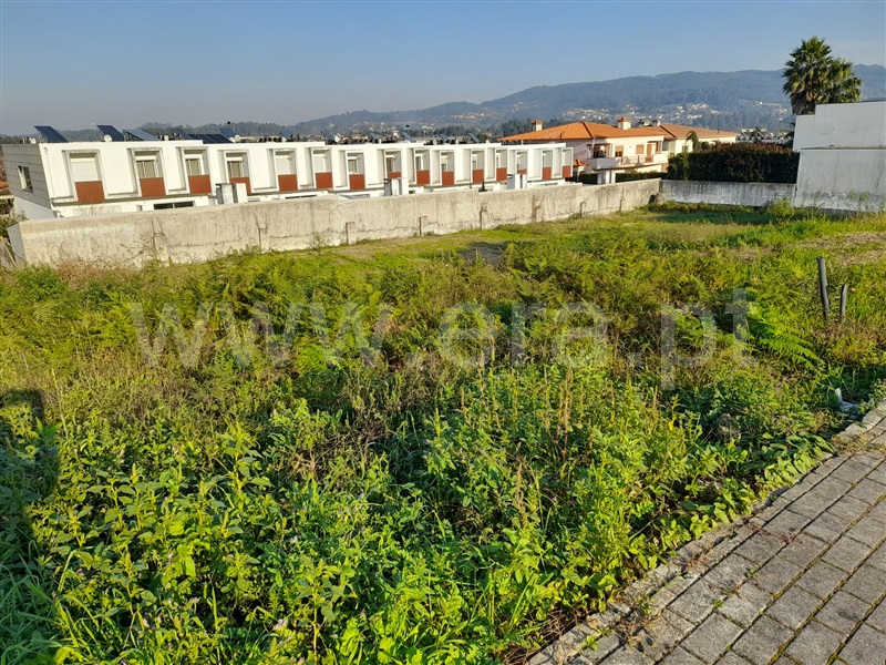 Lote  Barcelos, Gamil e Midões - 1082729 - 11