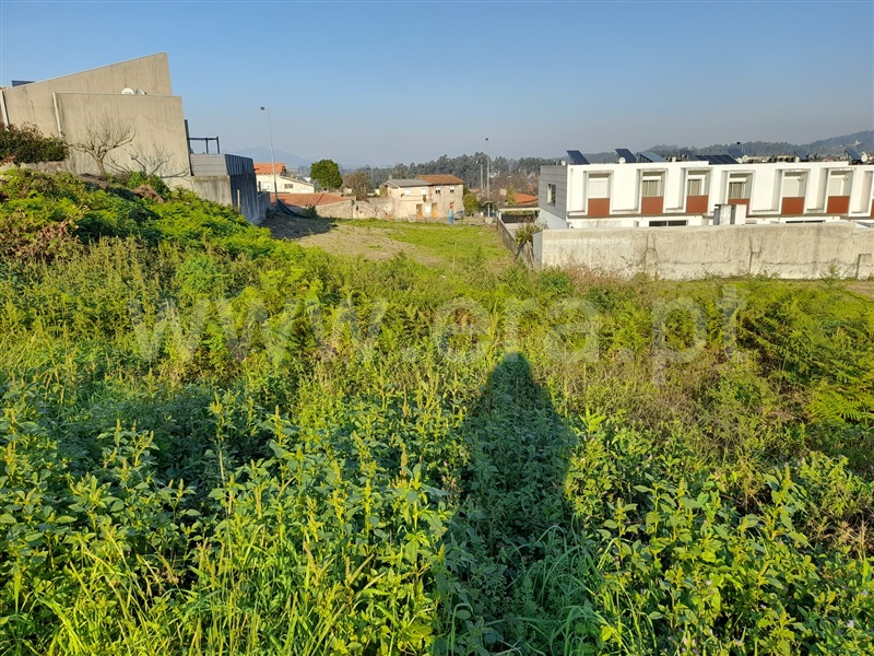 Lote  Barcelos, Gamil e Midões - 1082729 - 12