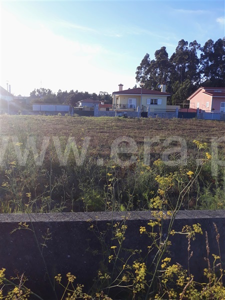 Lote / Barcelos, Gilmonde