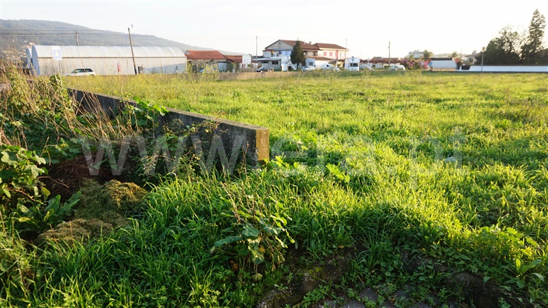 Lote  Barcelos, Gilmonde - 1132705 - 3