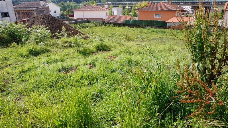 Terreno para Construção  Barcelos, Lama - 1244199 - 4