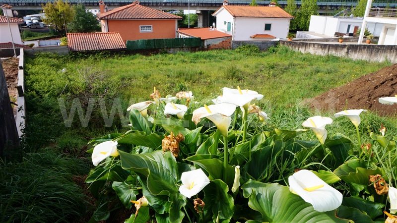 Terreno para Construção  Barcelos, Lama - 1244199 - 5