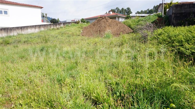 Lote / Barcelos, Lama