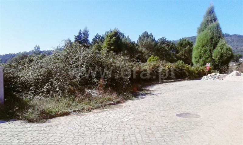 Lote  Barcelos, Lama - 762475 - 2