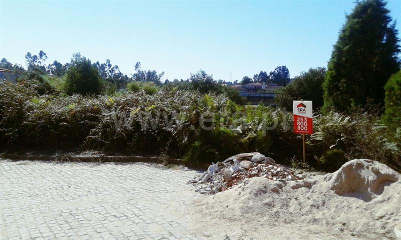 Lote / Barcelos, Lama