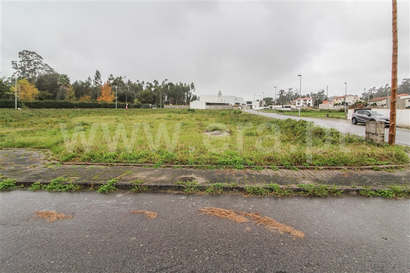 Lote / Barcelos, Perelhal