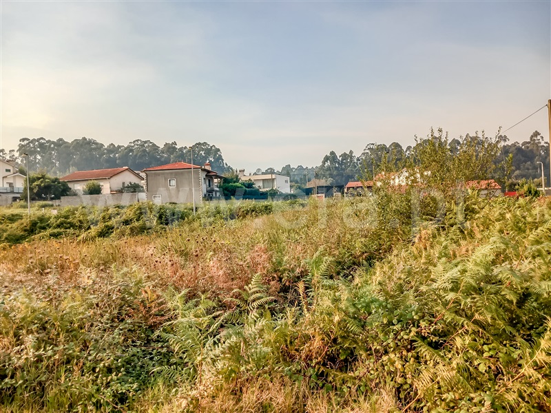 Lote  Barcelos, Perelhal - 1432505 - 2