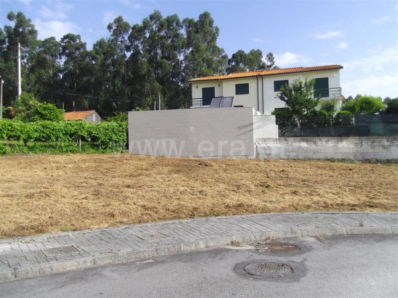 Lote / Barcelos, Perelhal