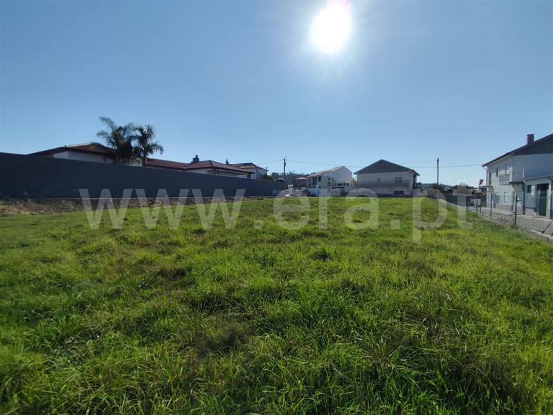 Lote  Barcelos, Rio Covo (Santa Eugénia) - 1512713 - 3