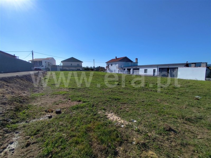 Lote  Barcelos, Rio Covo (Santa Eugénia) - 1512713 - 5
