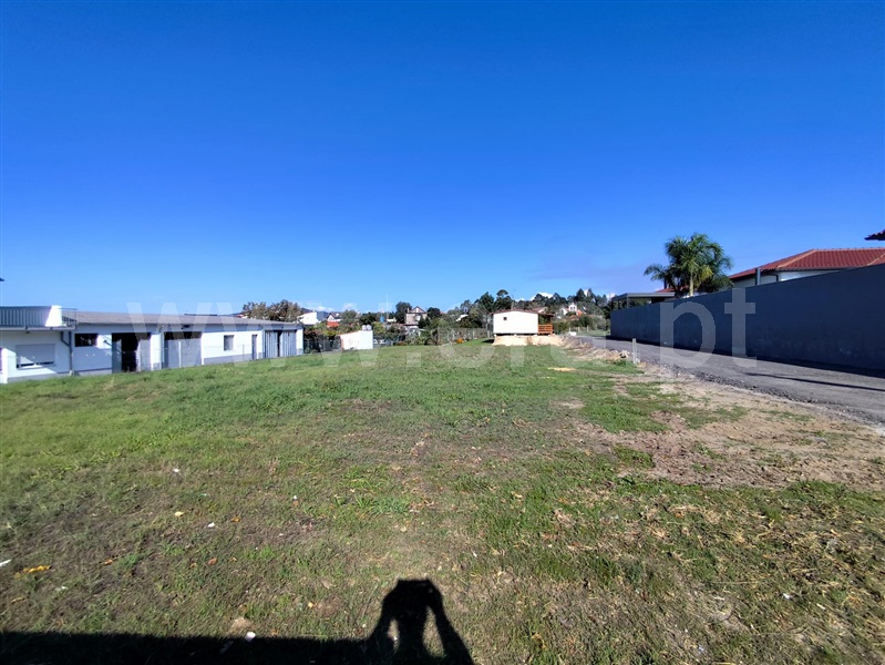 Lote  Barcelos, Rio Covo (Santa Eugénia) - 1512713 - 8