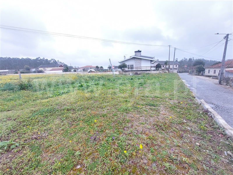 Lote  Barcelos, Sequeade e Bastuço (São João e Santo Estevão) - 1460149 - 1
