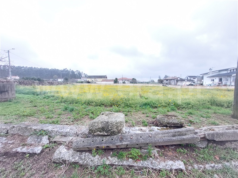 Lote  Barcelos, Sequeade e Bastuço (São João e Santo Estevão) - 1460149 - 4