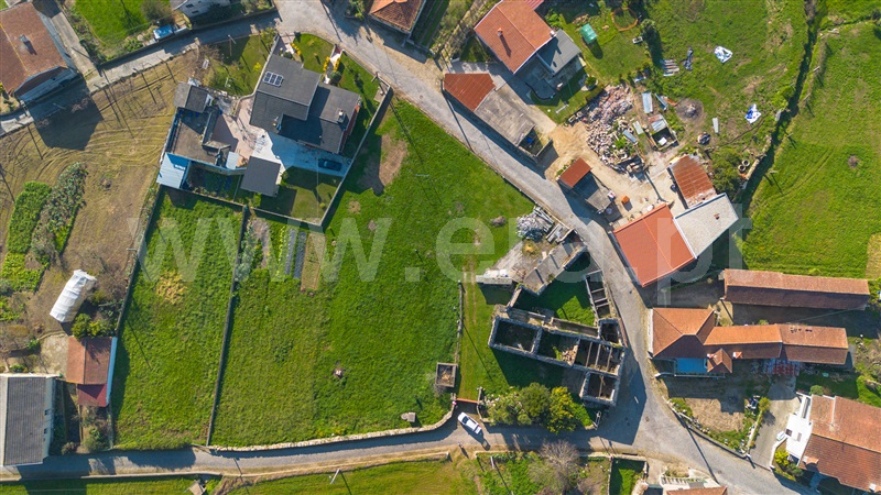Lote / Barcelos, Sequeade e Bastuço (São João e Santo Estevão)