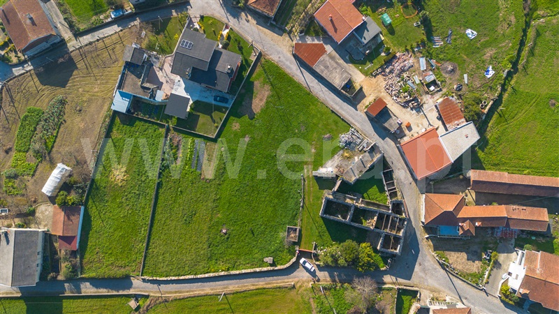 Lote  Barcelos, Sequeade e Bastuço (São João e Santo Estevão) - 1460149 - 10